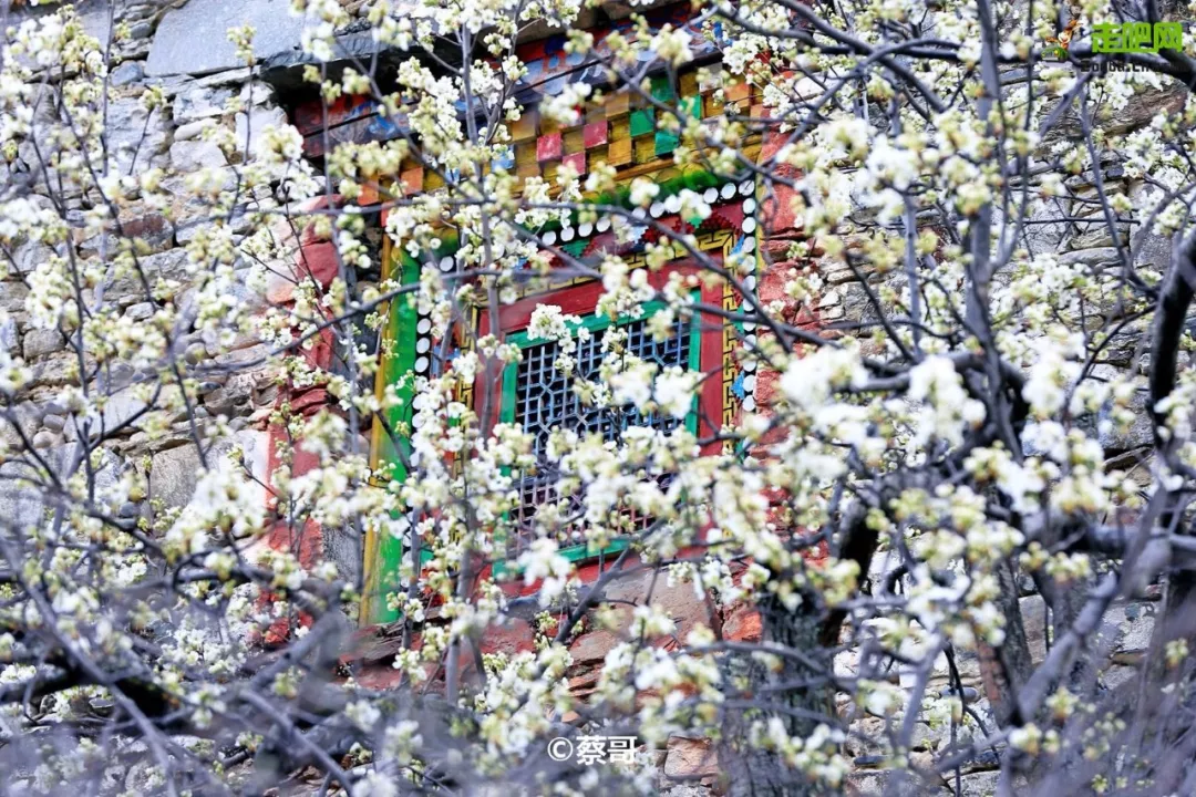 快开啦！这些地方的春景正在悄悄席卷全国，大气又美丽，别错过