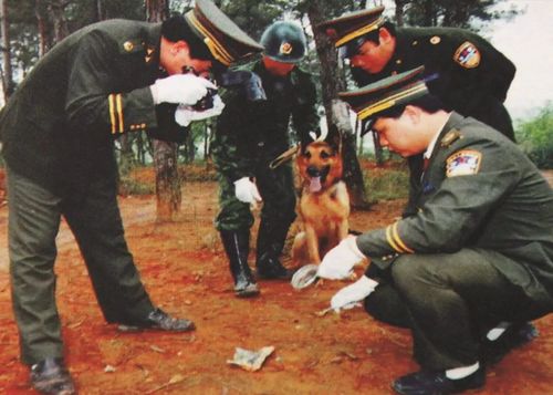 1995年鹤岗1.28大案震惊全国，罪犯男扮女装，却因纹身揭出原因