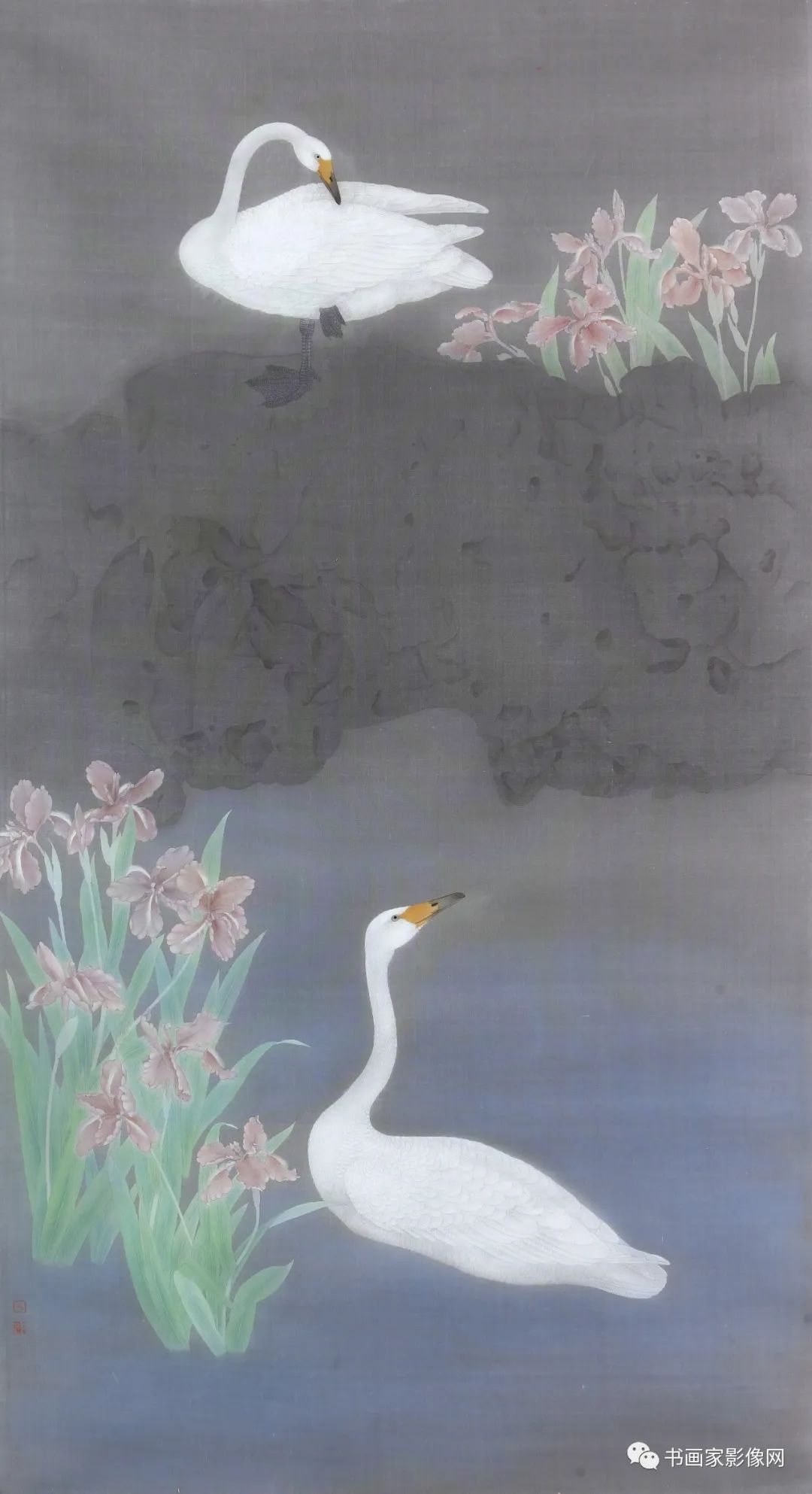 񹤱е¾áҡƼ