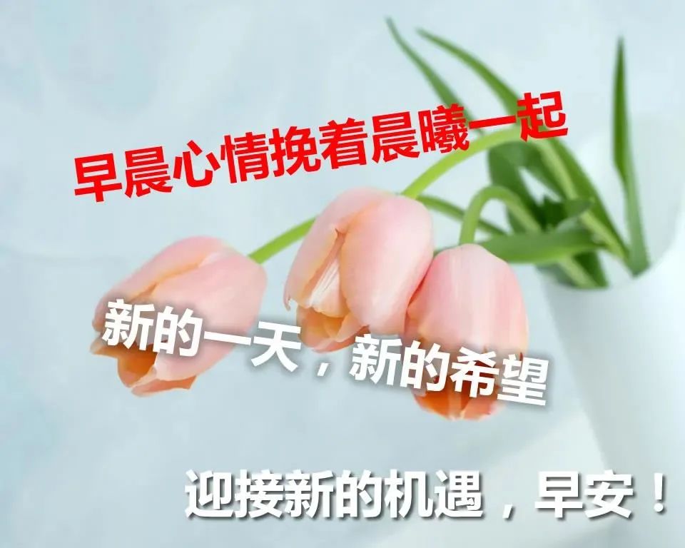 早上好最暖的问候语，平安健康是最真的祝福，懂得知足就会幸福图片
