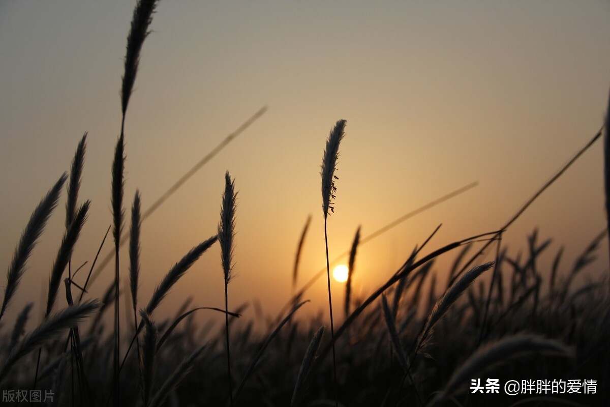 人人都是大忙人，忙着长大，弄丢了纯真；忙着成功，错过了风景