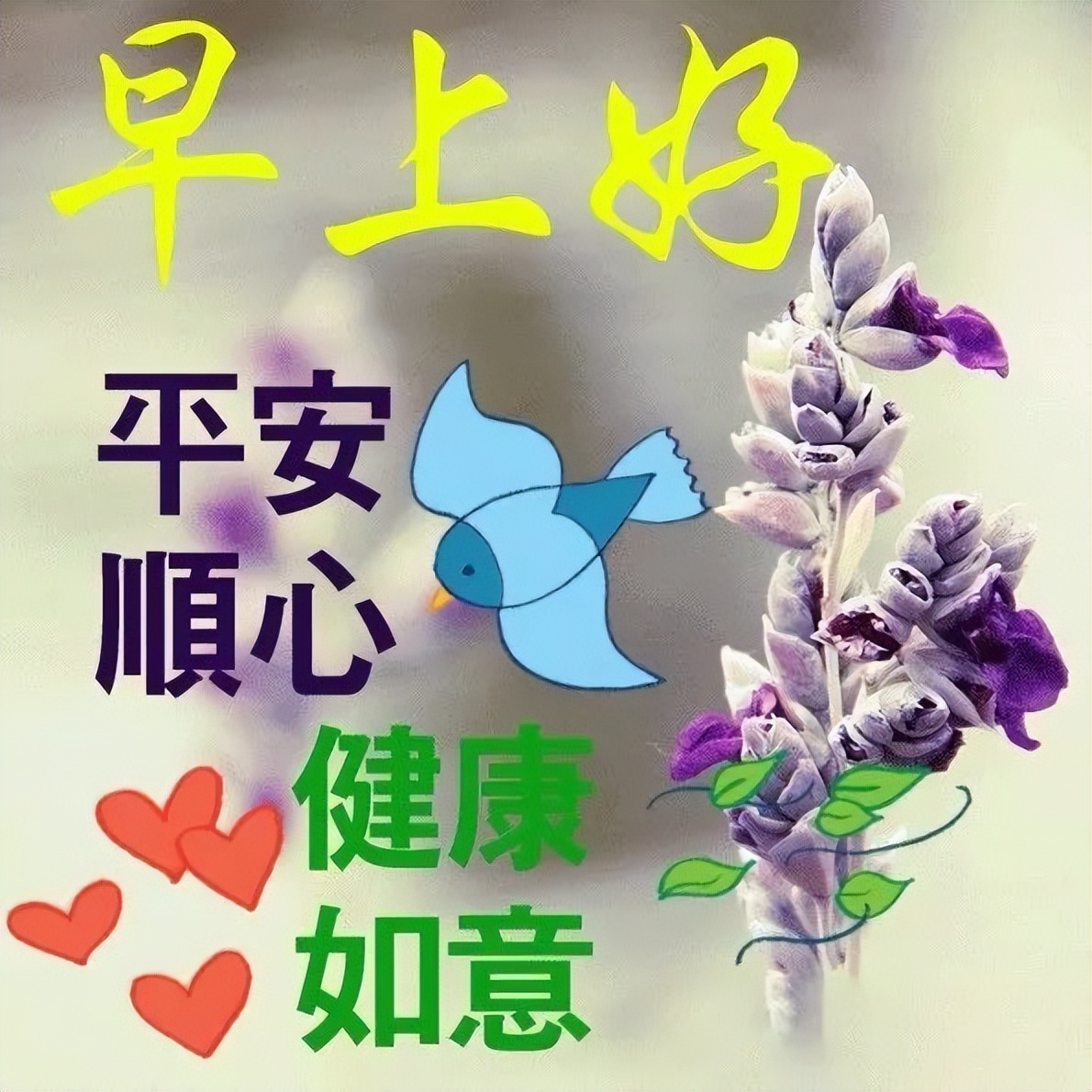 周五暖心早上好问候语简短说说 早上好，平安顺心、健康如意图片