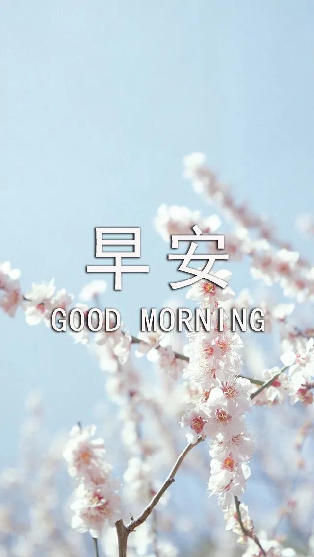 新的一天早安心情说说句子 心素如简，人淡如菊 君子相交，随方就圆图片