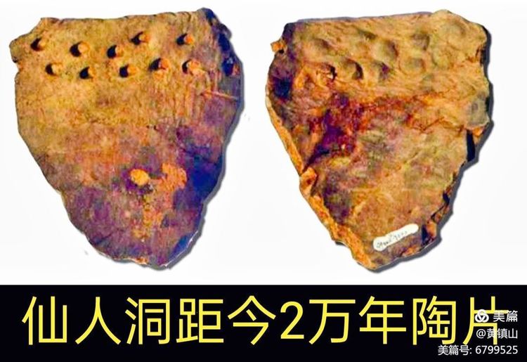 黄镇山：世界陶稻黍文明起源中国万年前