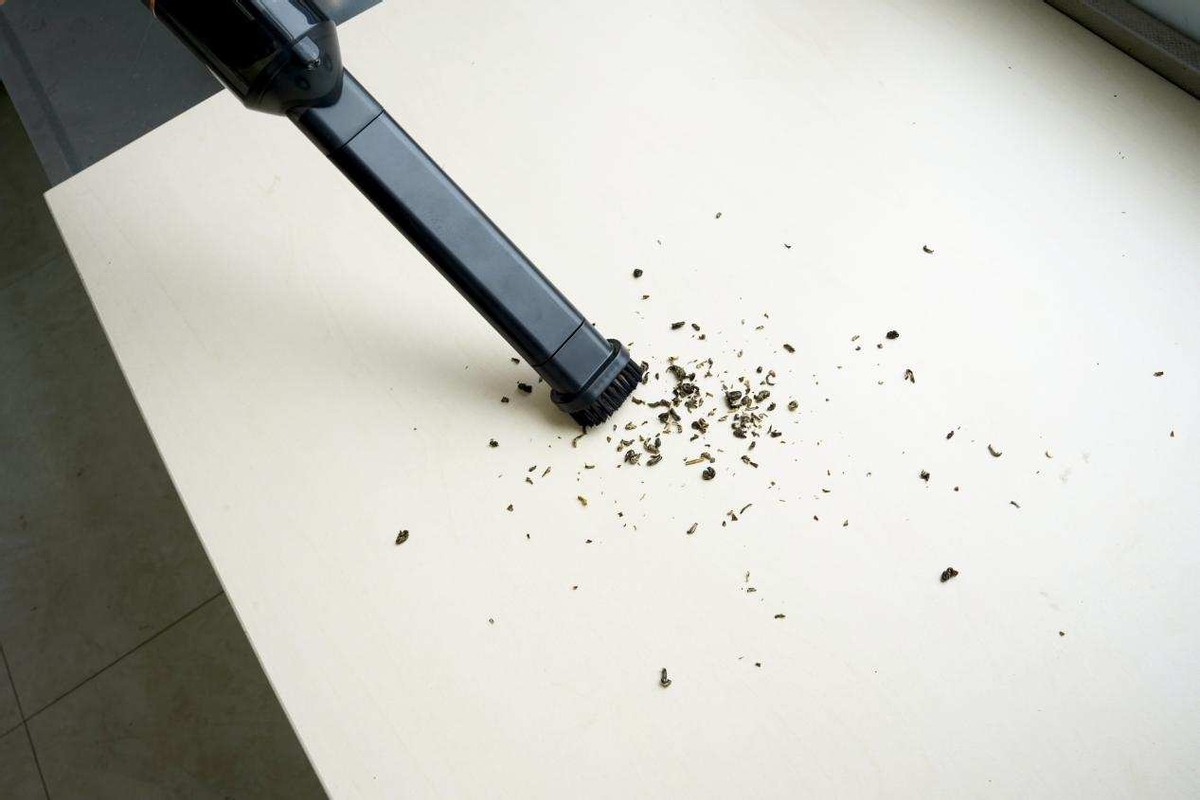 支持鸿蒙智联 全场景清洁能手清蜓智能随手吸尘器C2S评测