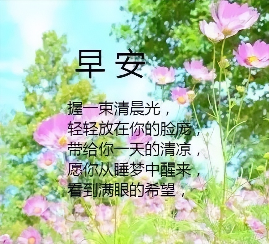 清晨祝福早上好问候语温馨语录 平凡的生活会懂得快乐图片