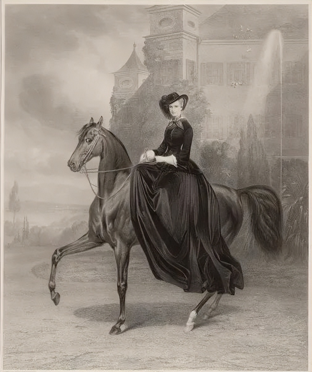 童话与现实：茜茜公主