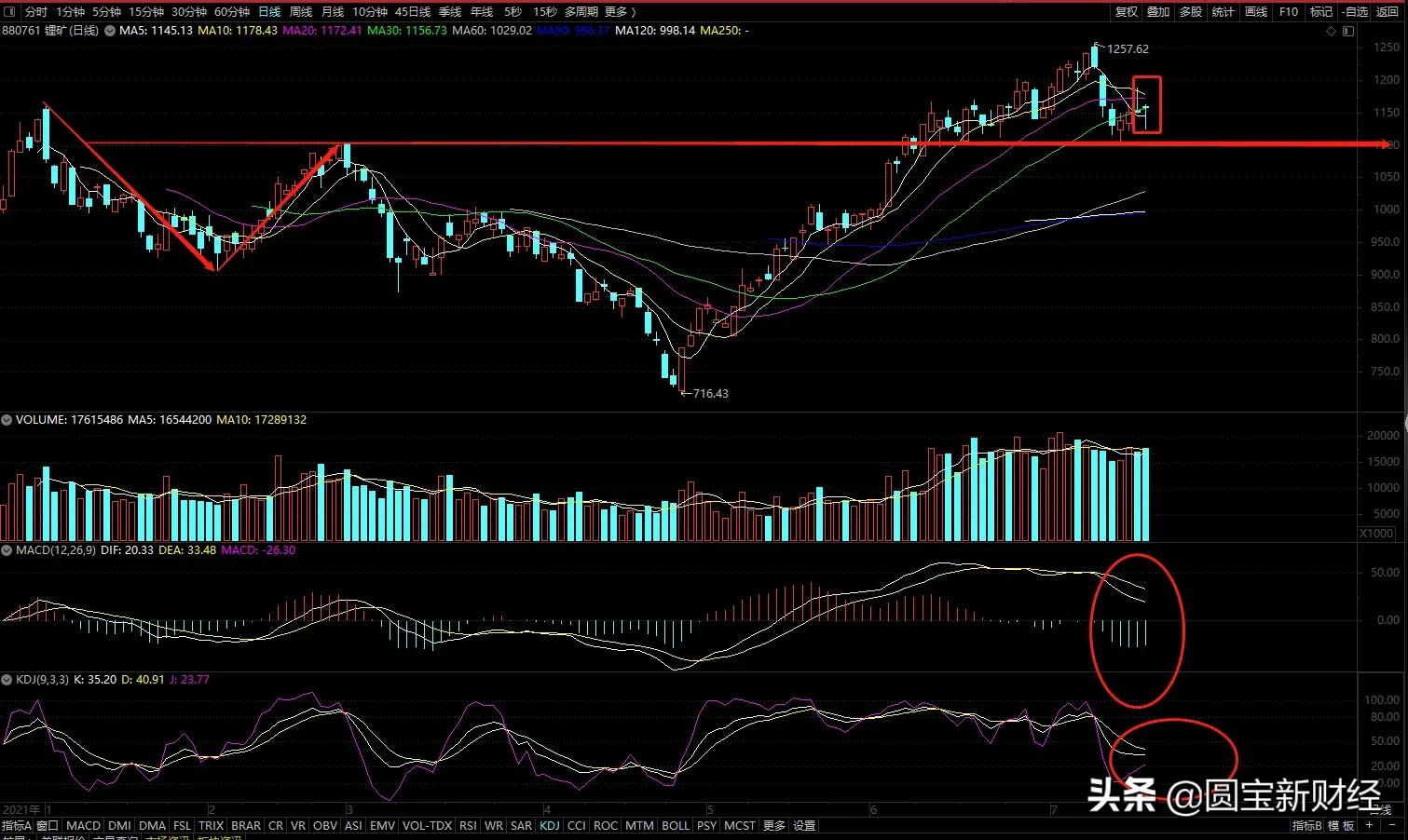 分化的新能源赛道：风光储持续大涨的背后是锂电板块的调整