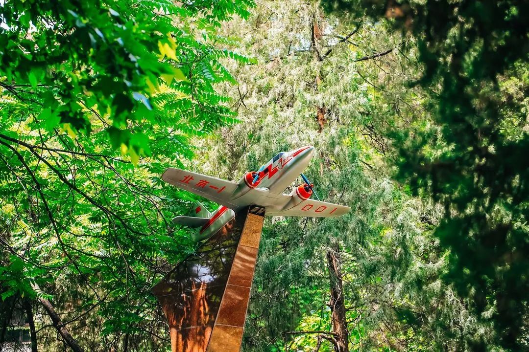 乒乓球培训班招生（北京航空航天大学2022年高水平运动队招生简章）