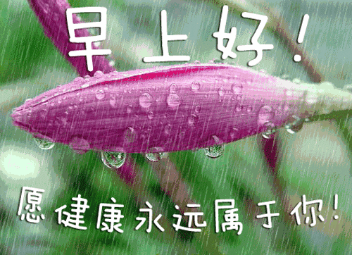 早上好动态表情图片 动图美图大全 人生没有绝望的路，只有绝望的心图片