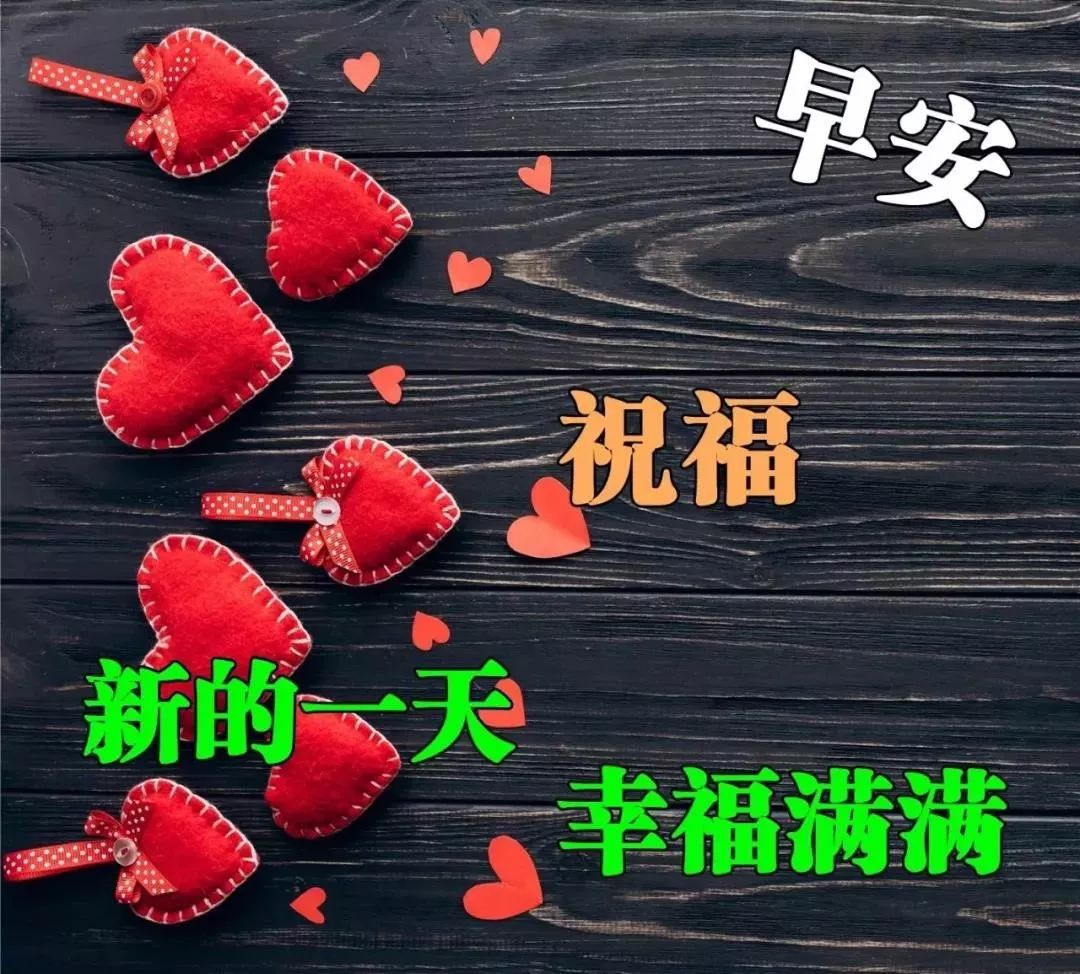 2022非常漂亮的早上好问候图片 创意好看的鲜花早上好祝福图片合集图片