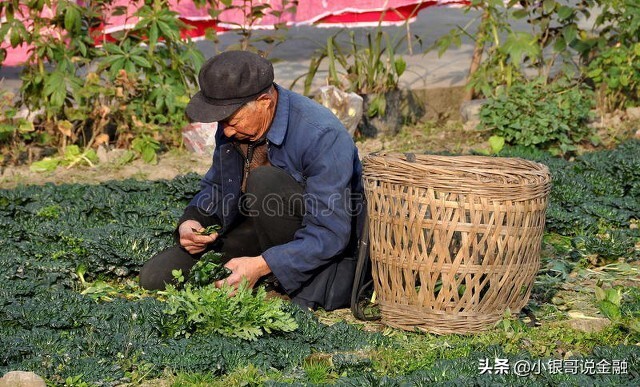 2022年，养老金18连涨稳啦！农村地区养老怎么破？