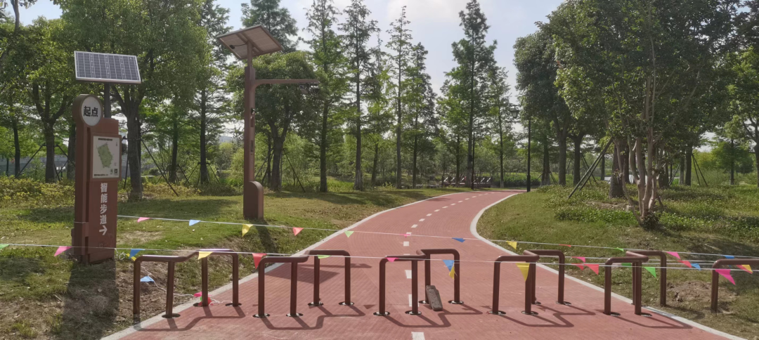 鐵人體育打造南通植物園智能步道，高顏值＋科技感 速速前來打卡
