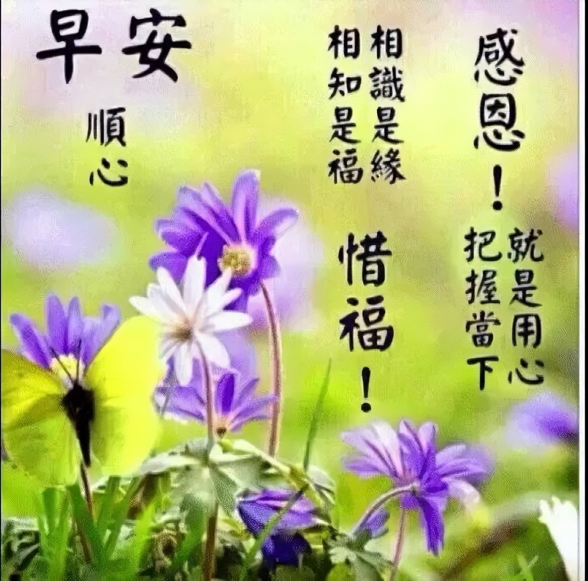 大家早上好祝福语漂亮图片大全 知足常乐、平安顺心图片
