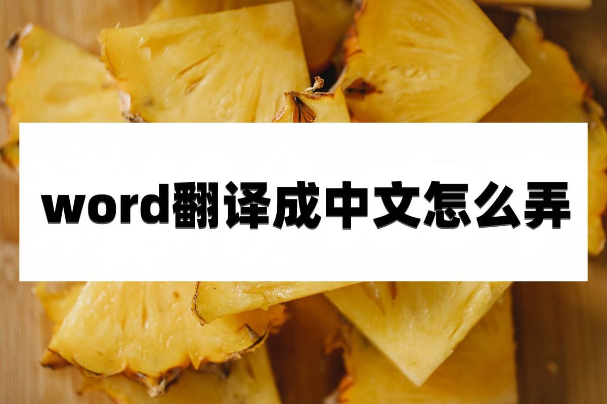 word翻译成中文怎么弄(word界面怎么变为中文)