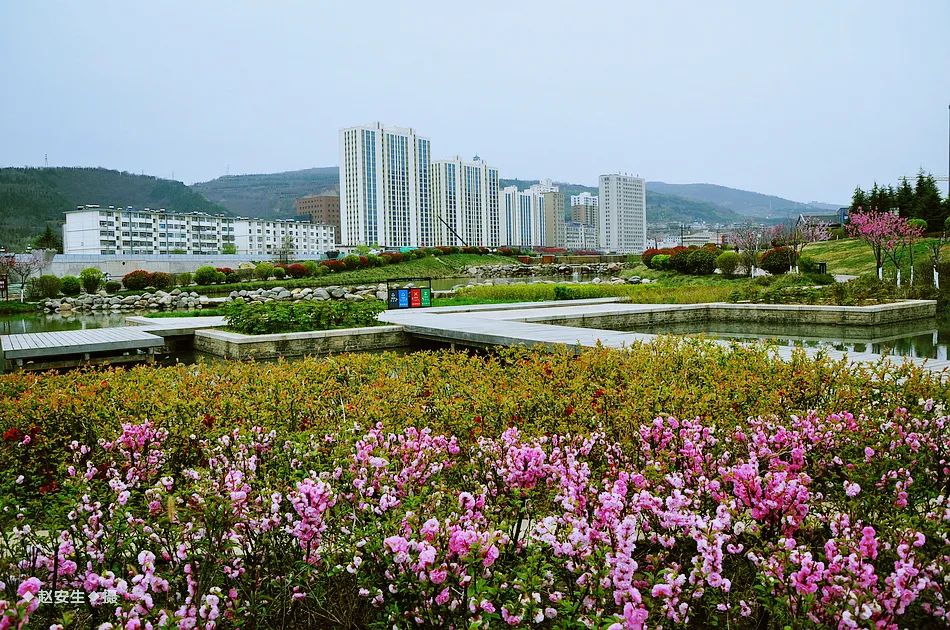 疫情挡不住春天的脚步，小编带你去看古城秦州的春暖花开