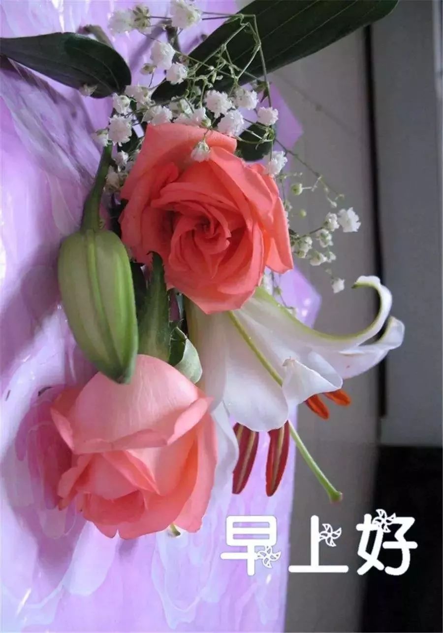 朋友圈早上好祝福图片 做一个微笑挂在嘴边 快乐放在心上的人图片