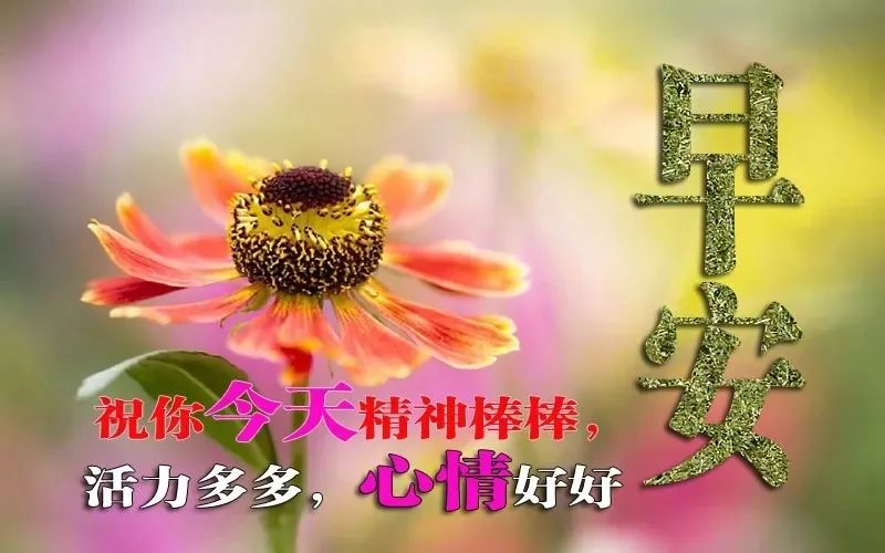 暖心问候早上好的表情包大全 天天开心、事事如意图片