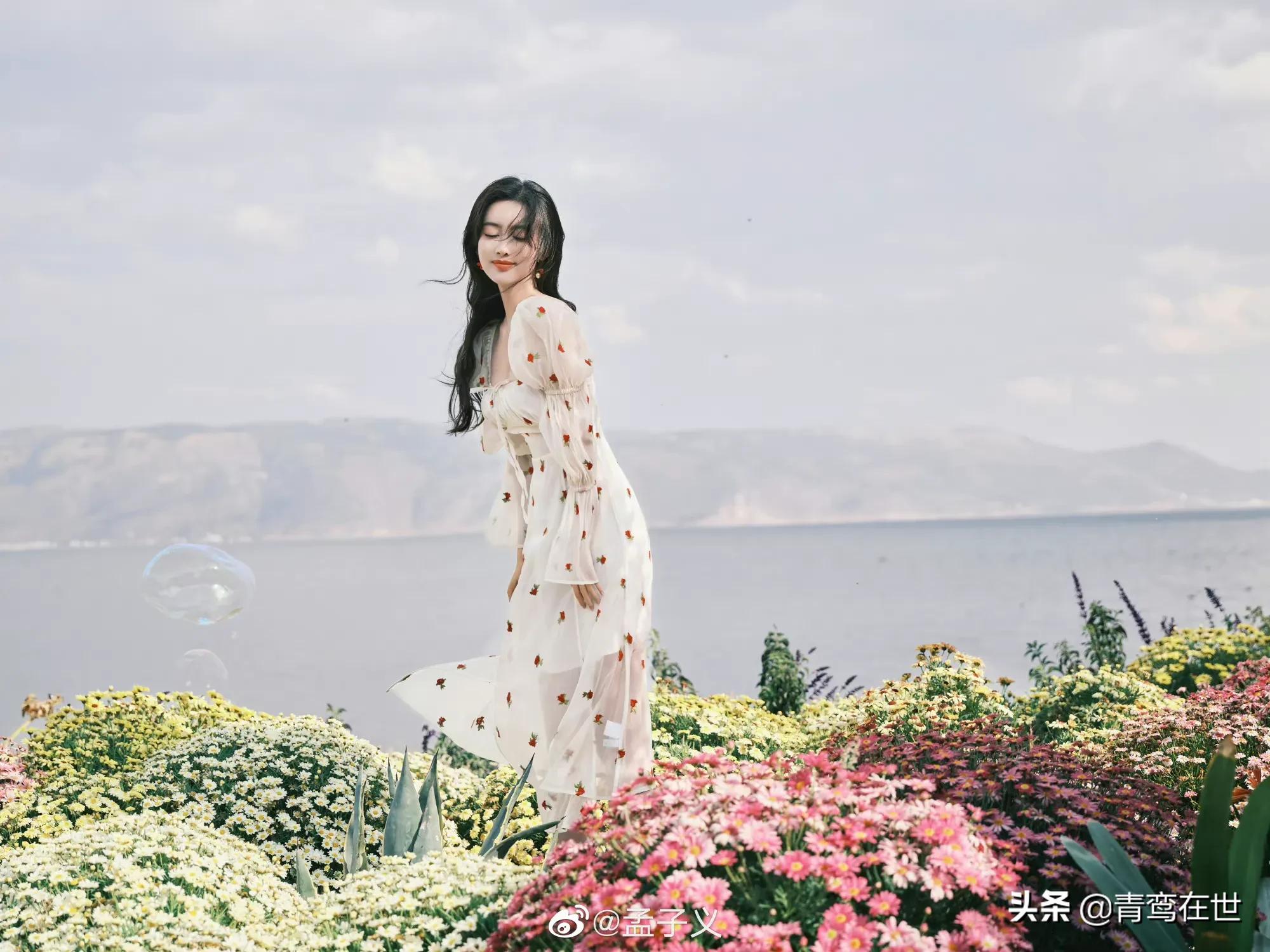 孟子义如果不自己作，应该会很火吧