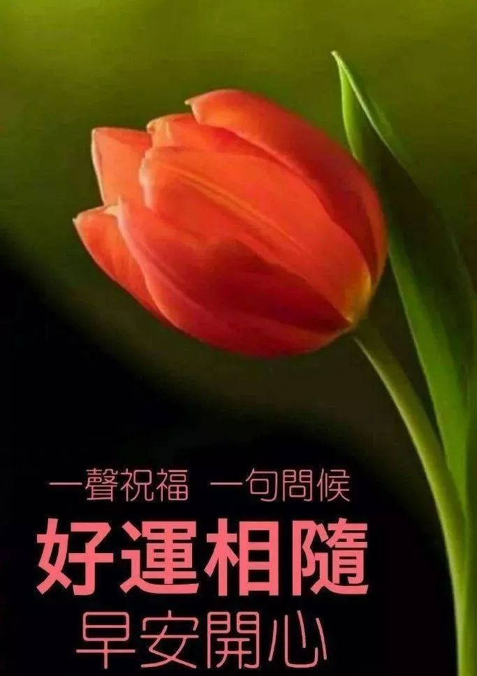 早上好朋友圈祝福语，一生长安，未来可期，愿每天有喜有乐图片