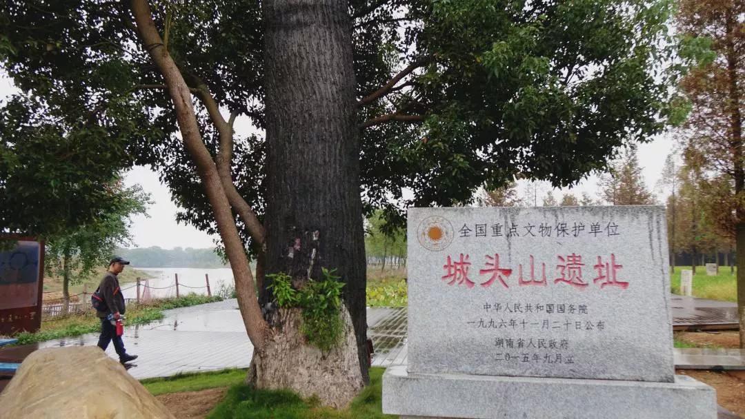 6000年前中国古城，世界上最早城邦文明，西方史学家集体闭嘴