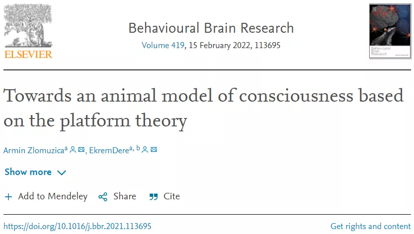 人类、动物和人工智能意识的新理论