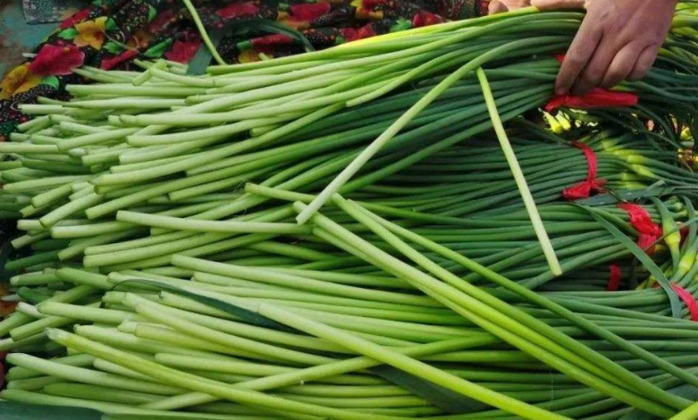 买蒜苔时，“红头和绿头”买哪种？不仅仅是颜色不同，弄明白再买