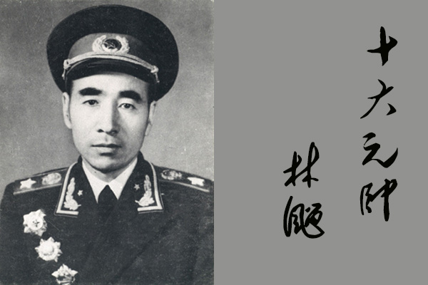 十大元帅各有什么过人之处，如果作为公司他们能担任什么职务？