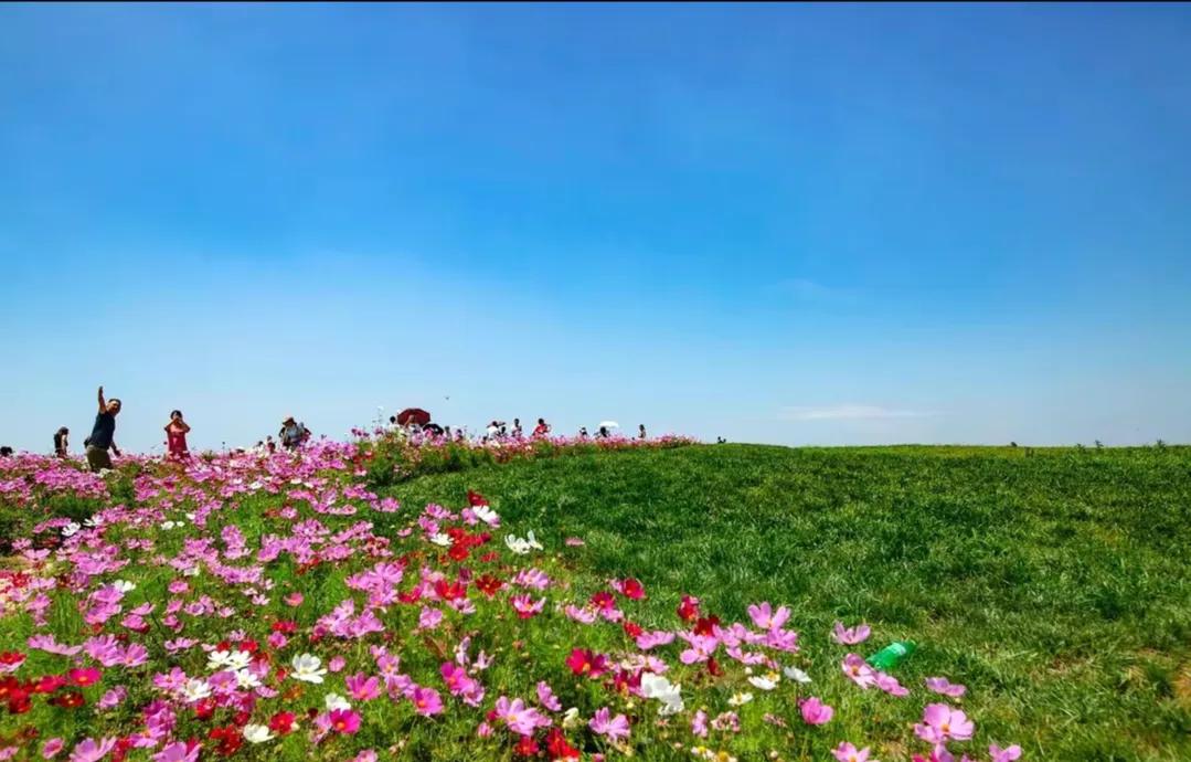 《愿你一心向阳光，一路开满花，遍地结满果，让生命永放光芒》