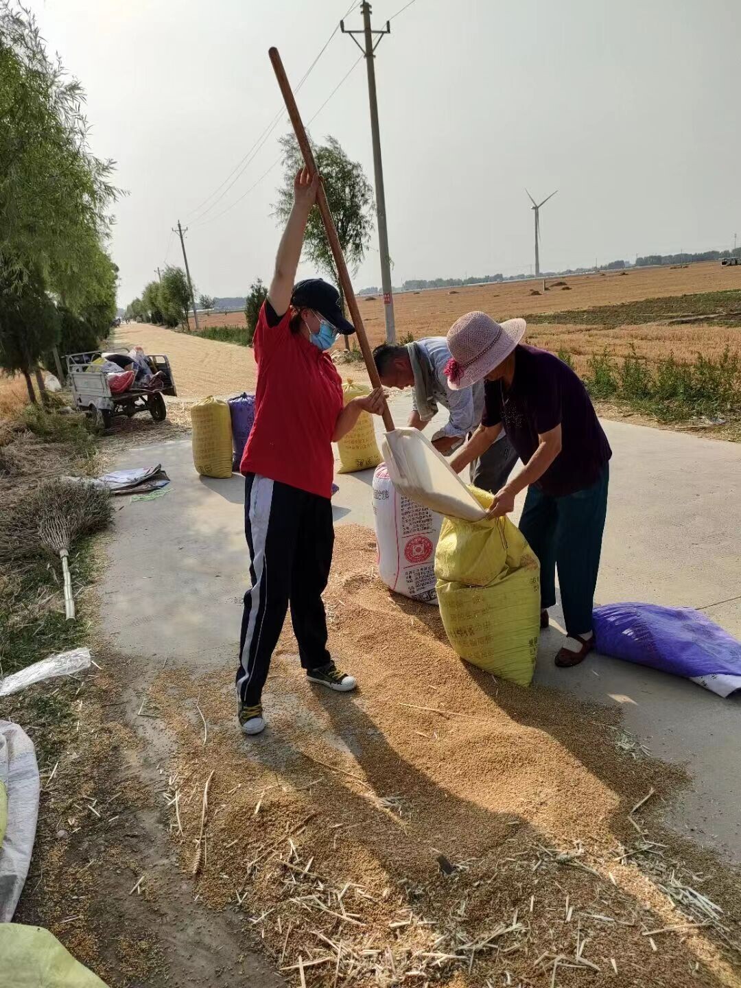 暑假三下乡图集：保护环境美化家园，禁烧秸杆水碧天蓝