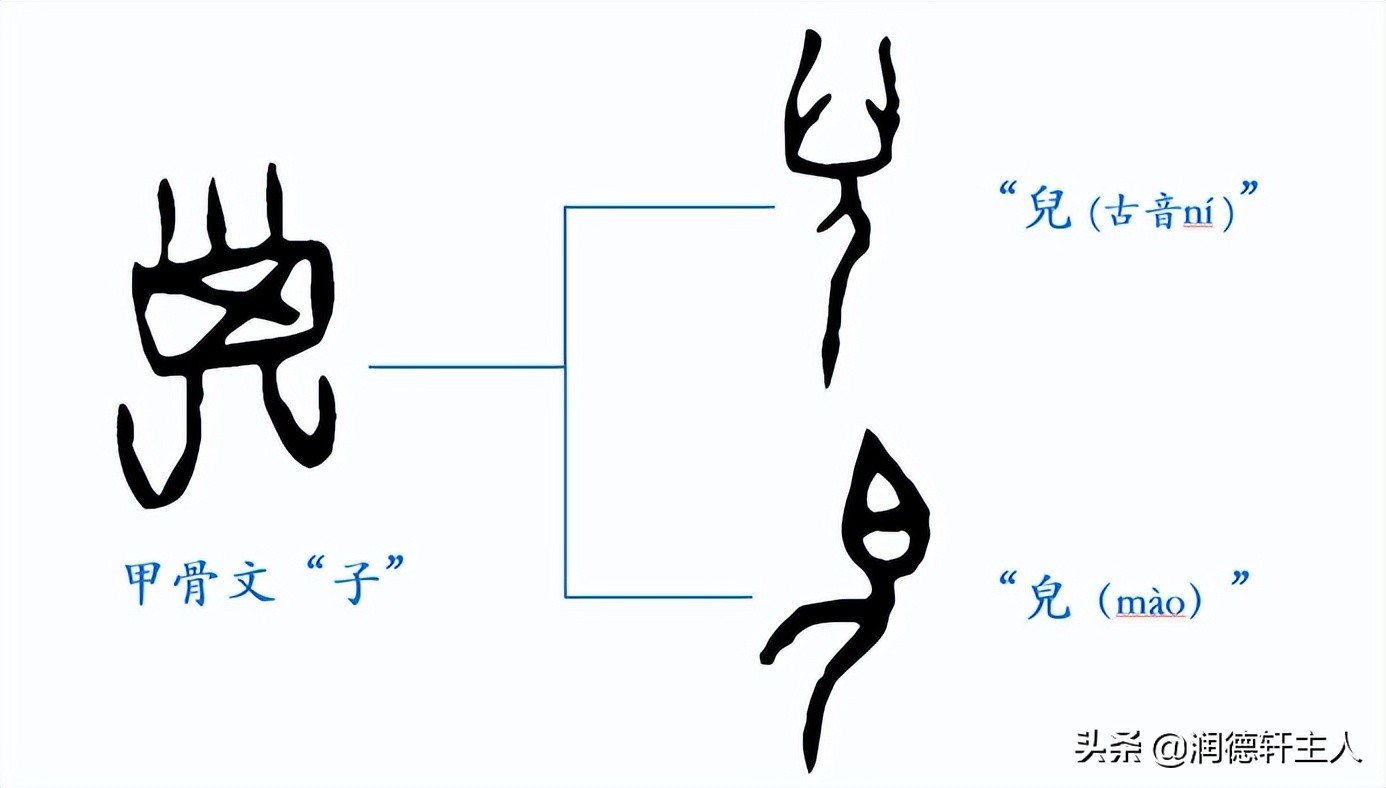字形演變:本義溯源:甲骨文兒溯其源頭,應來自更早的子.