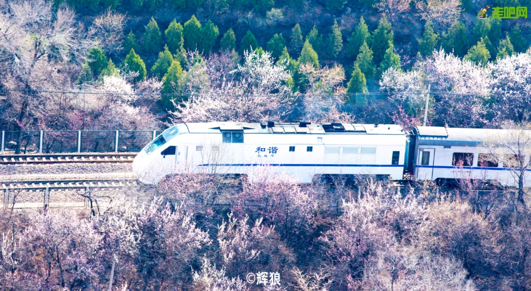 快开啦！这些地方的春景正在悄悄席卷全国，大气又美丽，别错过