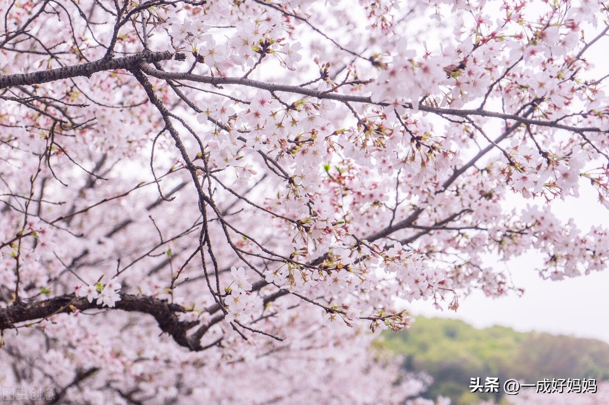 良好的生活方式有哪些  怎样保持良好的生活方式