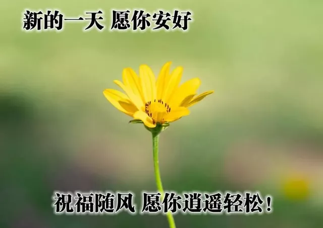 清晨，朋友的短信送来温馨祝愿，朋友，早安