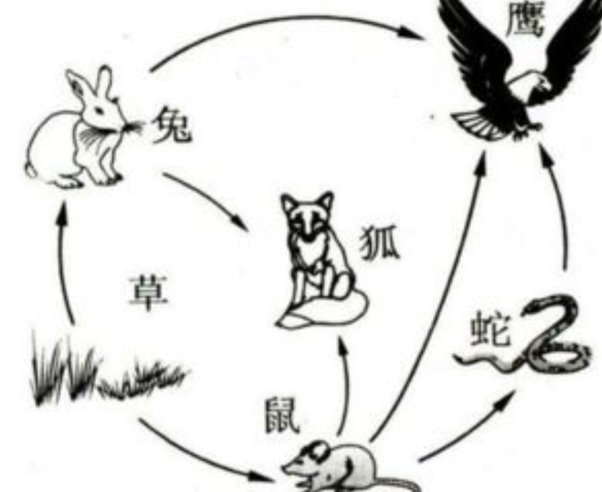 ��������ձ�ѡ�����˥�ϣ��������������⾿����Ϊʲô��