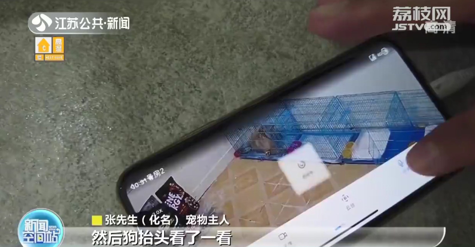 暖心！无锡现&ldquo;宠物方舱&rdquo;专门收容涉疫宠物