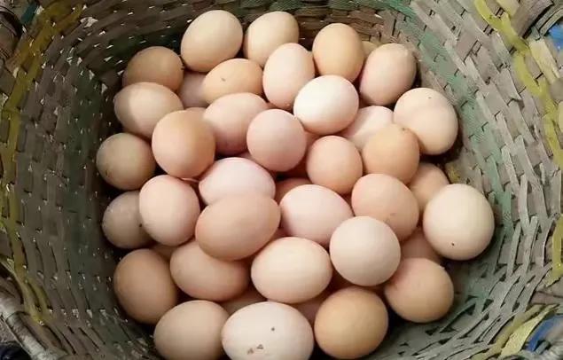 2022年鸡蛋多少钱一个（鸡蛋多少钱一个）