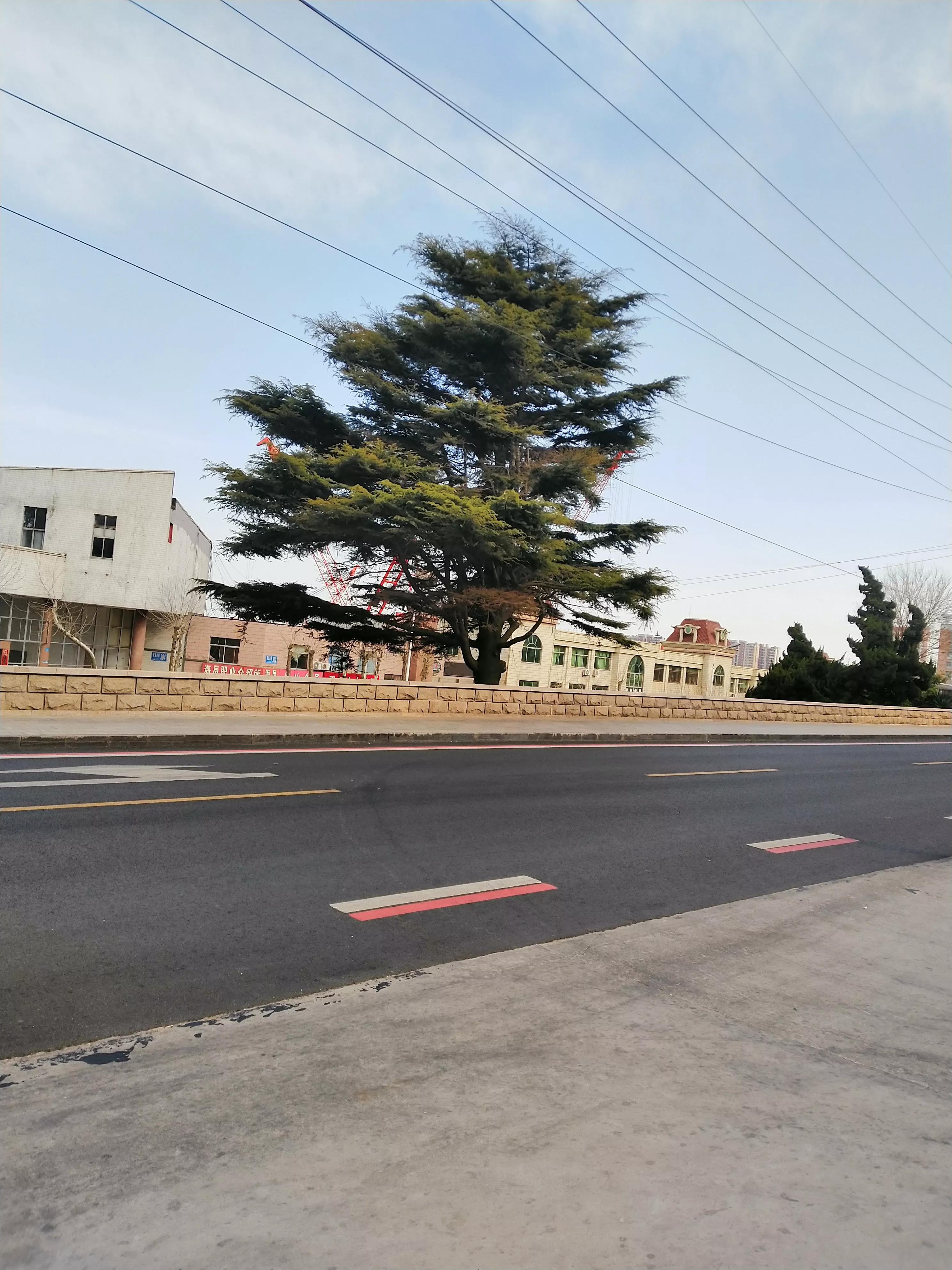 律师证c证（律师分为三个层级）