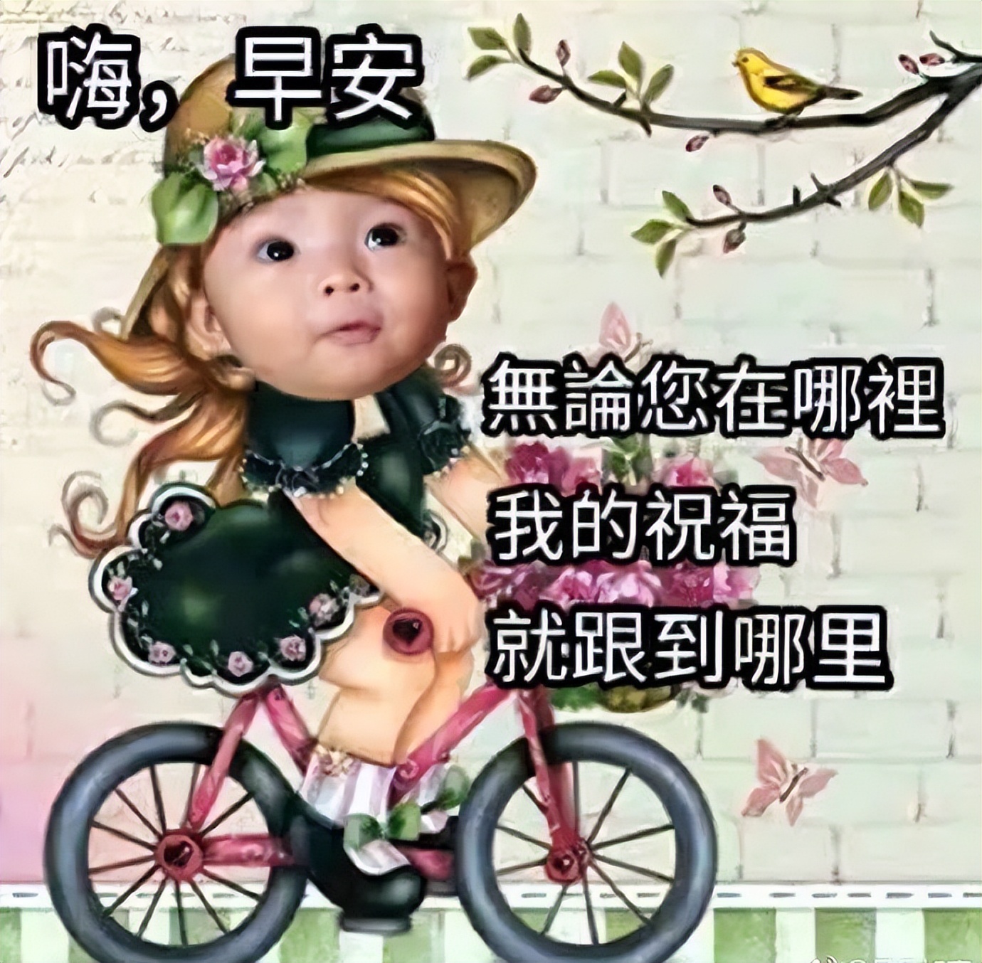 清晨早上好鲜花祝福图片 朋友圈早上鲜花问候语 恭祝人顺家顺百业顺图片