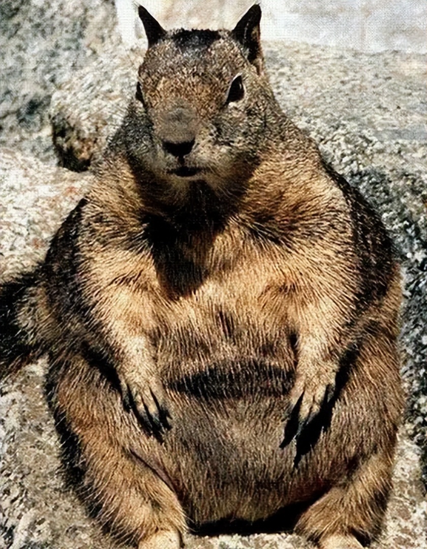 窦骁女友赌王千金何超莲称自己有罪，有钱是原罪，买东西价格更高