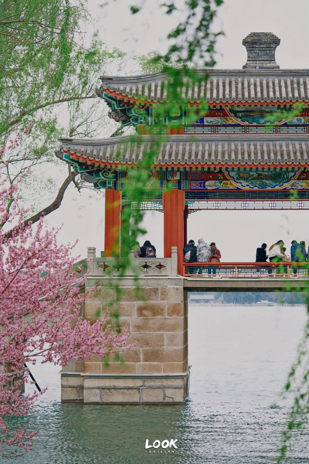 北京看花的公园图片