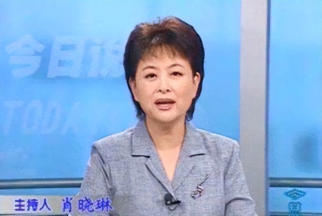 同为《今日说法》主持，撒贝宁成央视红人，张绍刚却在网综混饭吃