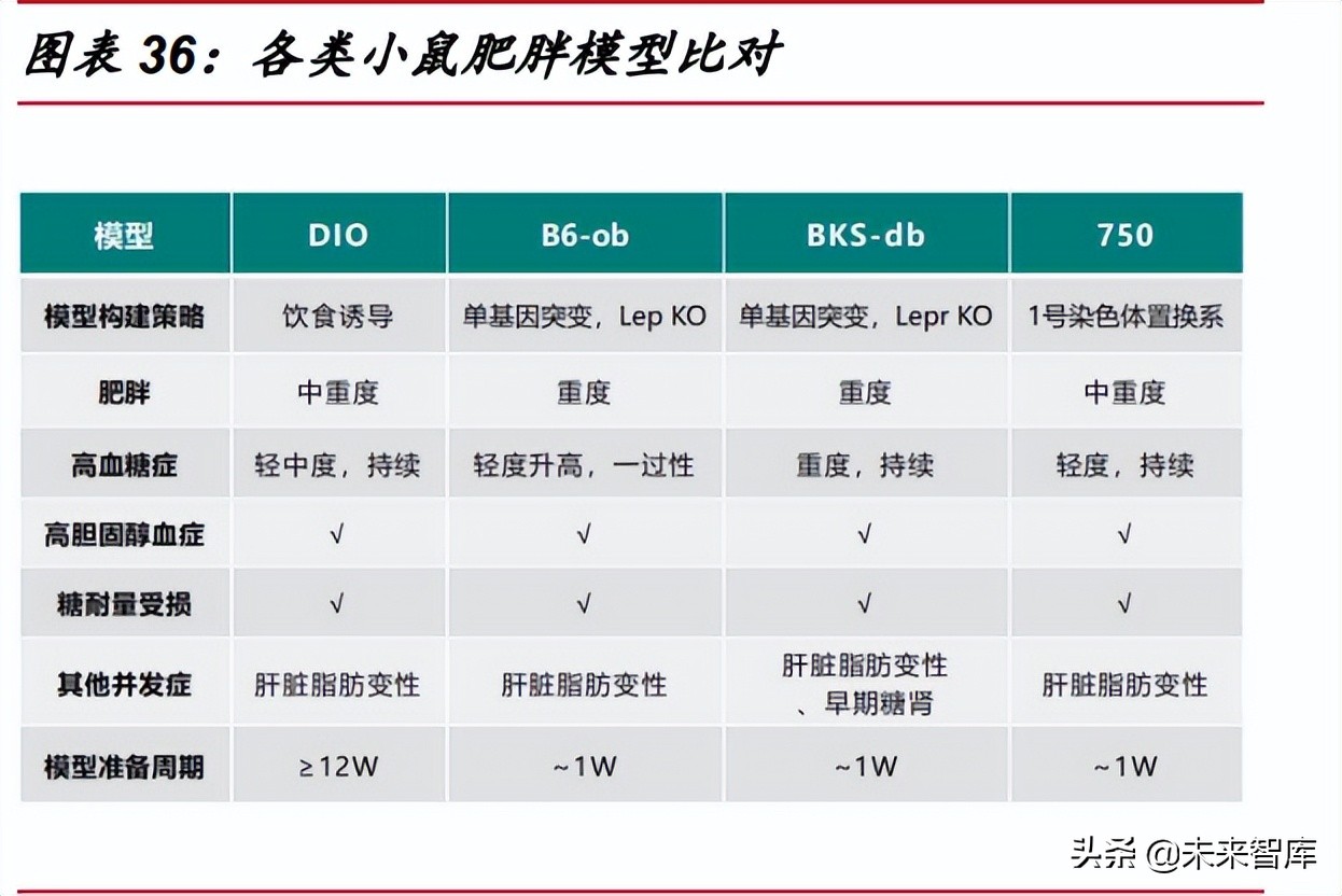 医药行业深度报告：医药研发热情高涨，模式小鼠方兴未艾