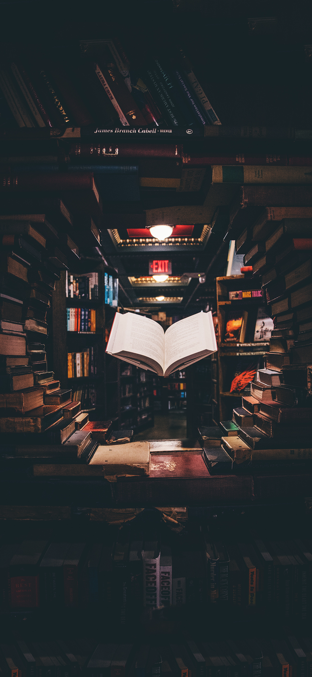 关于读书|清雅文艺风壁纸