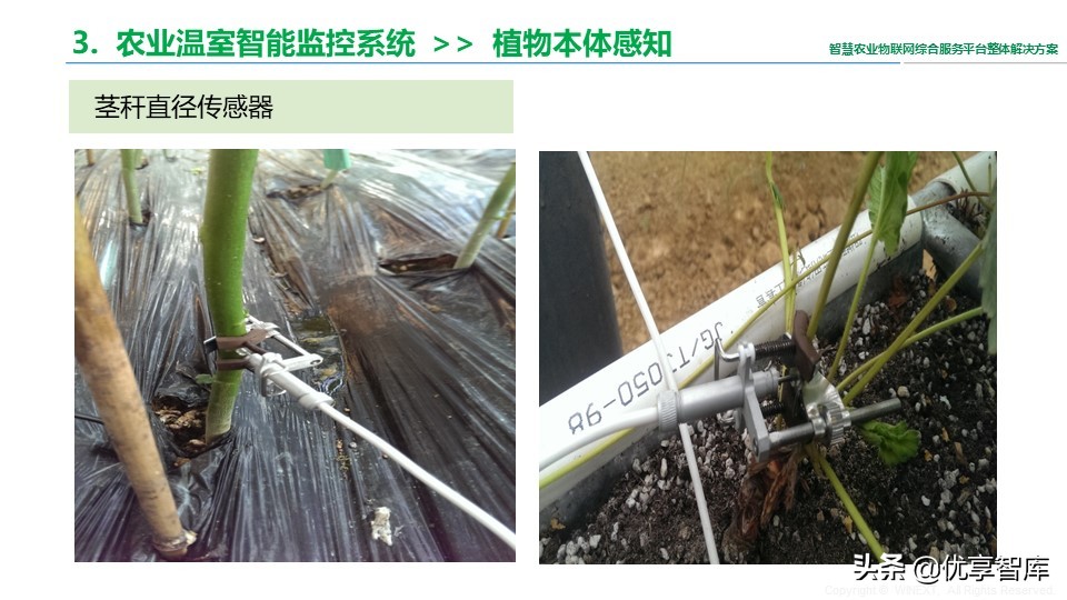 智慧农业物联网综合服务平台整体解决方案（41页PPT）