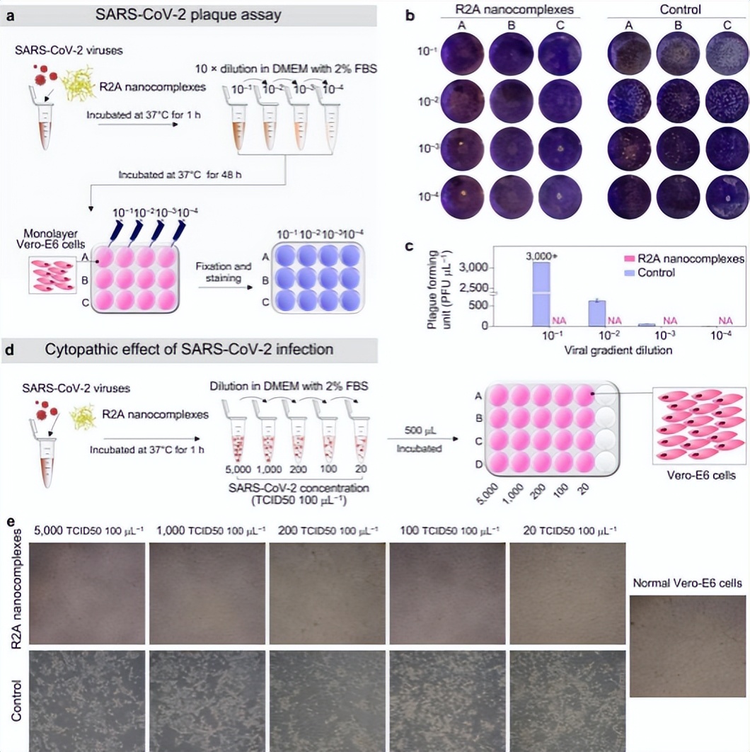 与时代同行，聚有志之士！四川大学：风雨百廿，与你共赴“一流”！