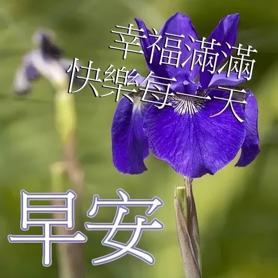 早上好动态表情图片 动图美图大全 人生没有绝望的路，只有绝望的心图片