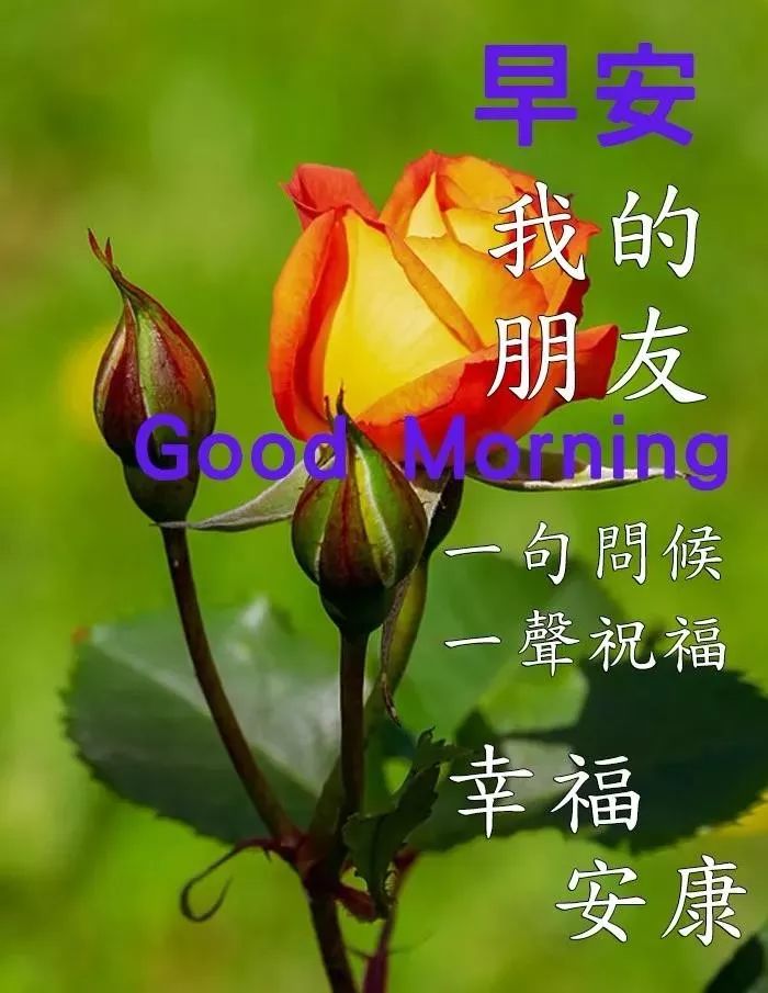 周末早上好表情包，顺心顺意，健康如意，天天幸福，天天开心图片