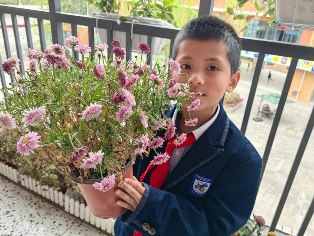 小小闹钟意义大 能娃实践创意多｜实小外国语学校创设时间思辨课程