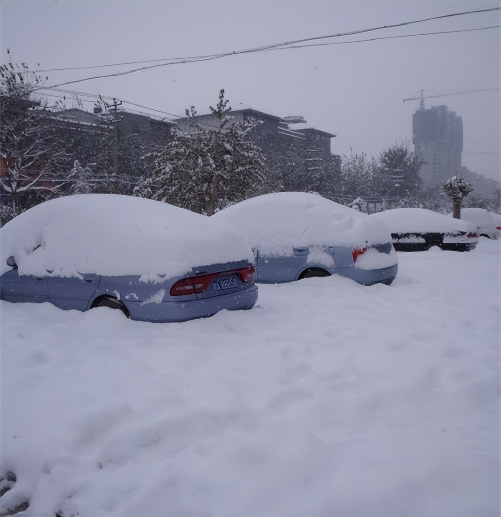 2008年，湖北男子花20万买了一条受伤的鲶鱼，3年后靠它年入1亿元